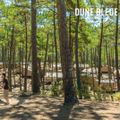 Camping de la Dune Bleue