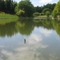 Camping de l'Etang