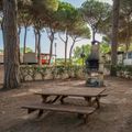 Camping Pineta sul Mare