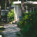Camping Waikiki