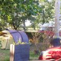 Camping Au Vent des Marais