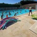 Camping Chant des Oiseaux
