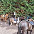 Camping La Prévoté