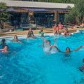 Nicoll's Camp/Pins