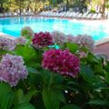 Camping Punta Navaccia Camping Punta Navaccia