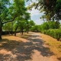 Camping Mas des Roses