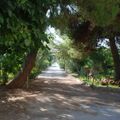 Agriturismo Terrauzza Sul Mare