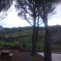 Camping Le Maurynate Les Oliviers