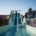 Camping Bellevue En Camargue