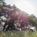 Camping Le Garissou