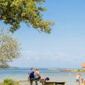 Camping Les Bruyères