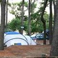 Camping de la Dune