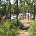Camping Club De France La Gautrelle