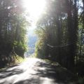 Camping Le Valserine