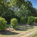 Camping Du Roz