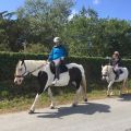 Camping Ode Vras