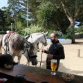 Camping Ode Vras