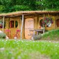Camping De La Foret