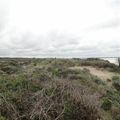 Camping des Dunes