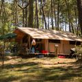 camping landes sud