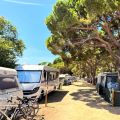 Camping Vall d'Or