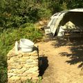 Camping Domaine Petra Pinzuta