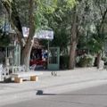 CAMPING SACEDON