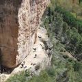 CAMPING SACEDON