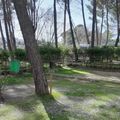 CAMPING SACEDON