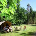 Camping 't Vlintenholt