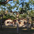 Camping Bungalowpark Isabena