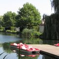 Camping Parc Witte Vennen