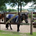 Camping de Meibeek