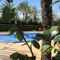 Camping La Torreta