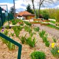 Camping L'Ile aux mille Charmes