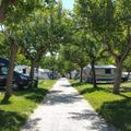 Camping Adria Riccione