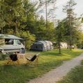 Forest Camping Mozirje