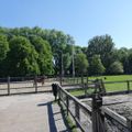 Vakantiepark Delftse Hout