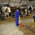 Landrijk de Reesprong