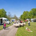 Vodatent Landgoedcamping Nienoord