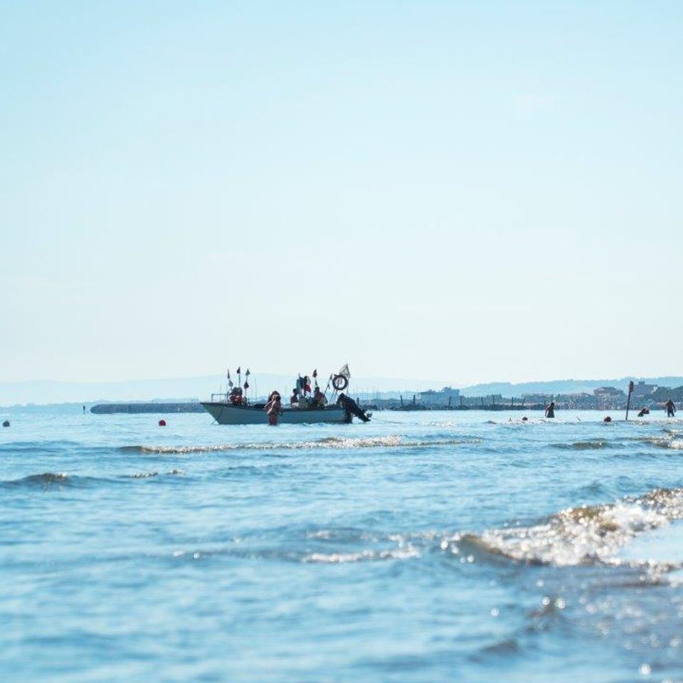 SarniWay Le Risaie Ovest - Reviews, Photos \u0026 Phone Number - Updated  December 2025 - Travel Services in Asigliano Vercellese, Piedmont Region -  Wheree, image size:960x960