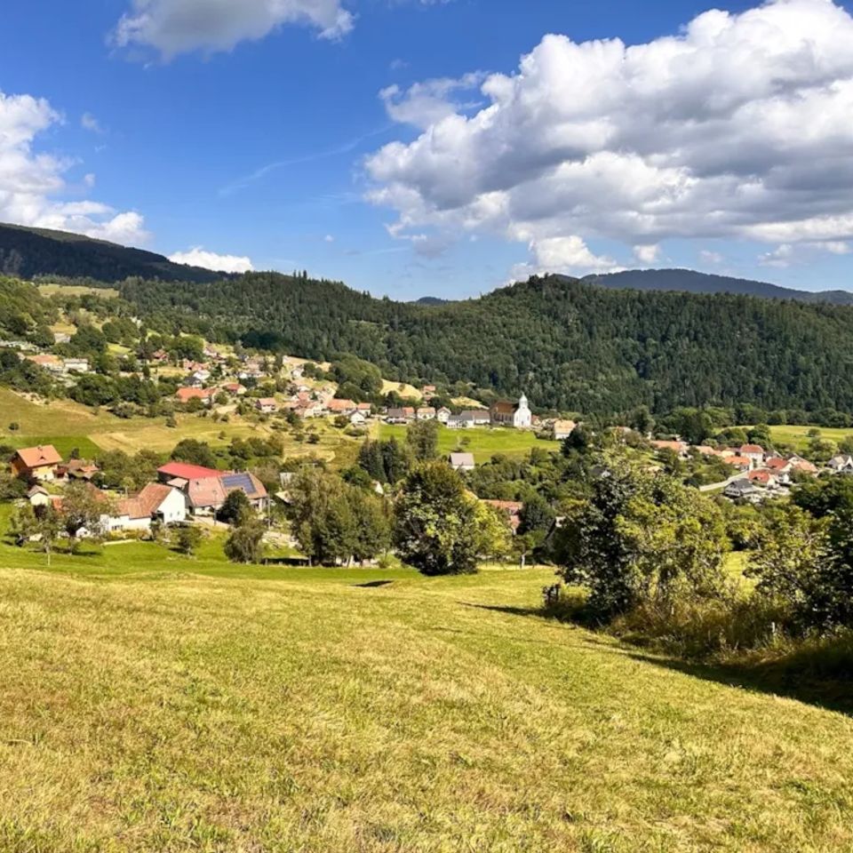 Natur'camp Alsace photo 4