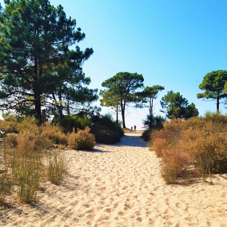 Camping Dolce Vita photo 5