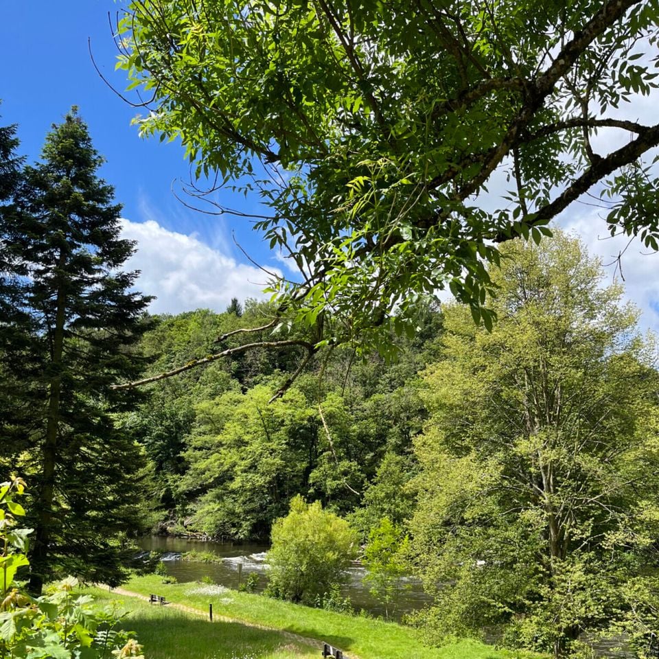 Camping La Roche photo 3
