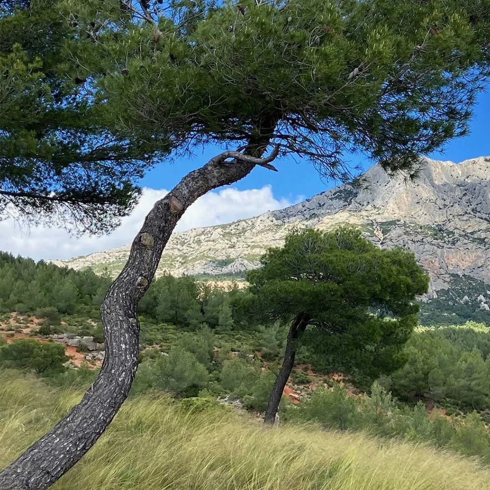 Camping Le Cézanne photo 3