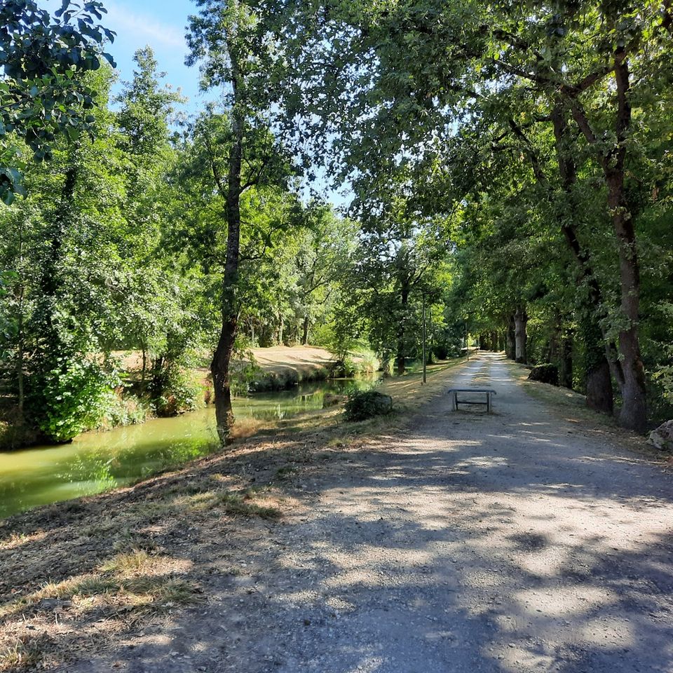 Camping L'Argenté - Onlycamp photo 4