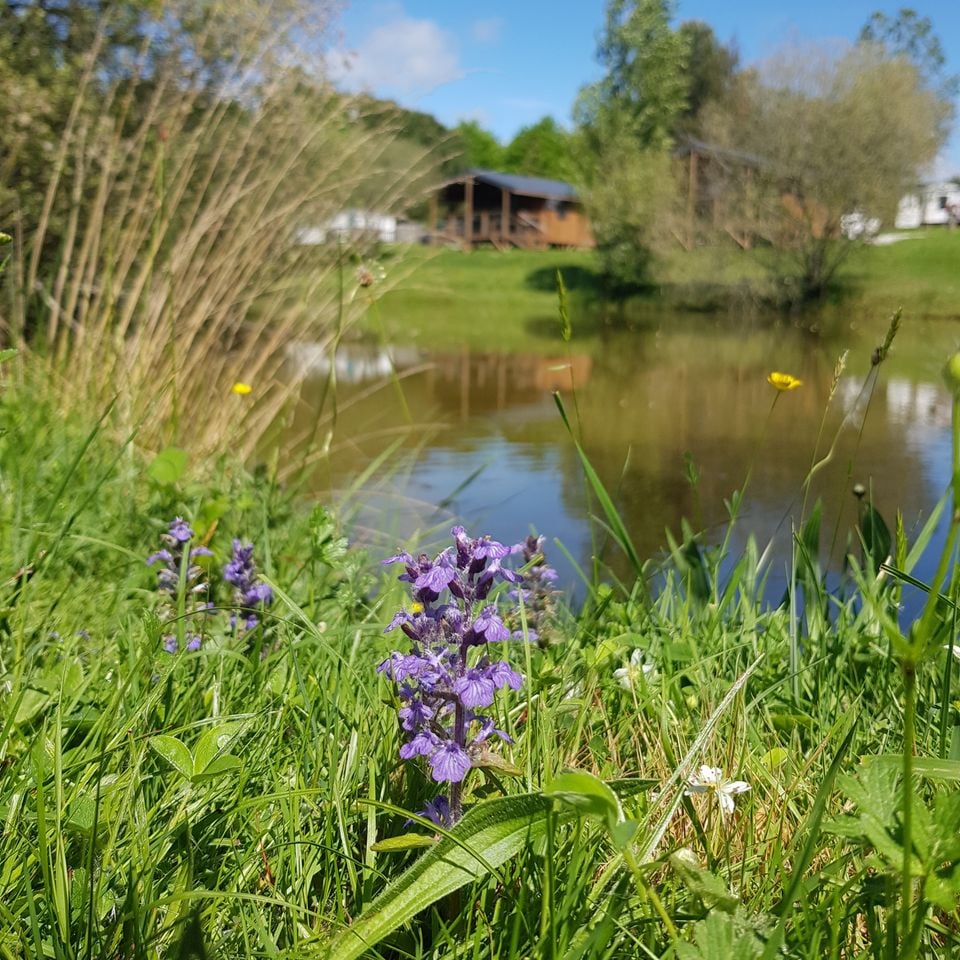 Camping La Motte photo 4