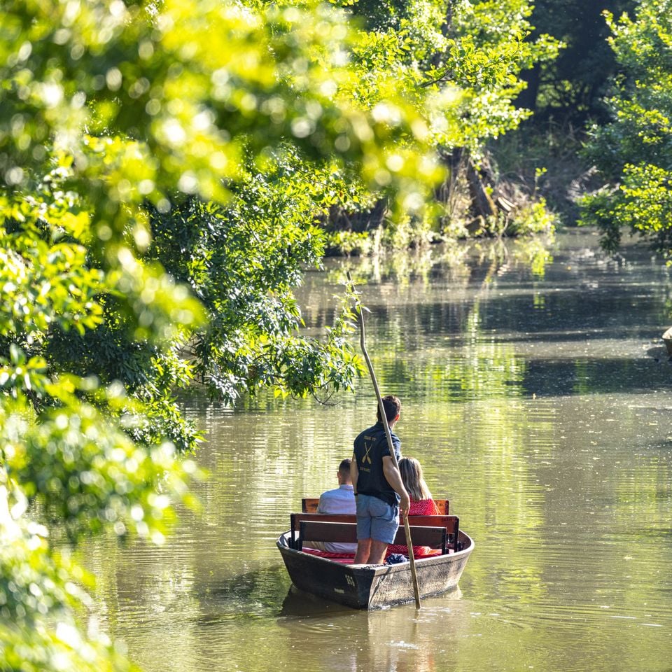 Camping Le Marais Sauvage photo 4