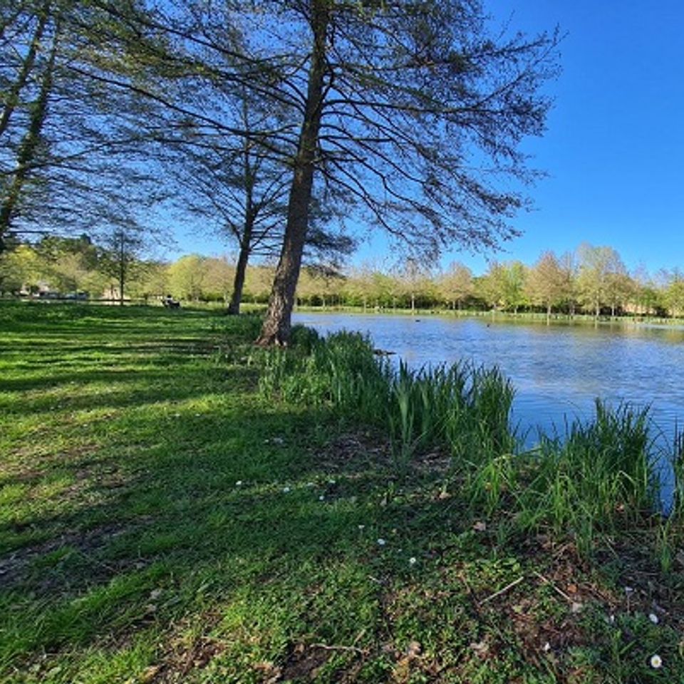 Camping de La Potinière photo 2