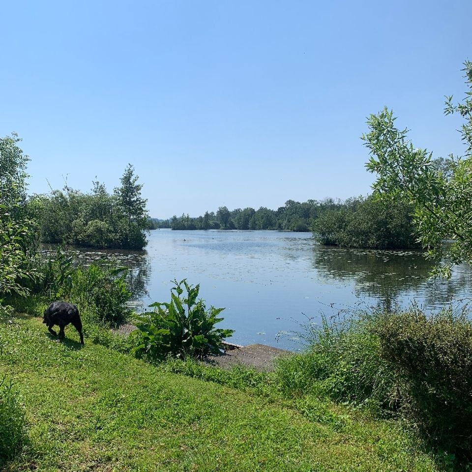 Camping Des Rosiers - Photo 2